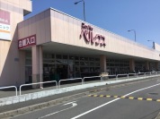 ベルクス南柏店