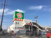 ライフ佐倉店