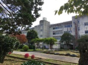 柏市立高田小学校