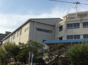 市川市立幸小学校