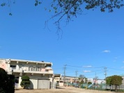 関宿中部幼稚園