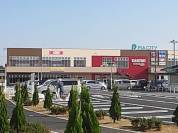 ピアシティ 柏中新宿店