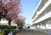 吾妻小学校