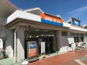 ビッグエー 習志野袖ケ浦団地店