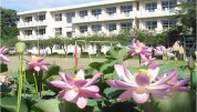白井小学校