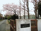川柳中学校
