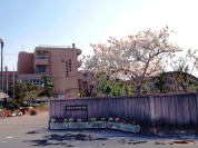 草加市立氷川小学校