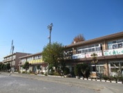 草加市立 新里小学校