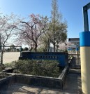 市原市立水の江小学校